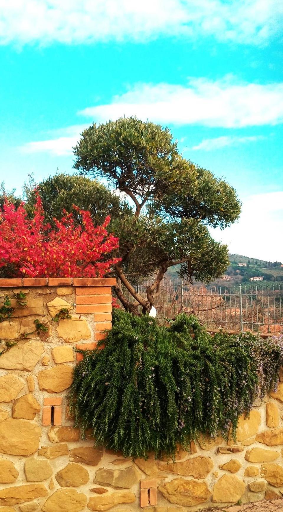Готель Olivo Bonsai Пассіньяно-суль-Тразімено Екстер'єр фото
